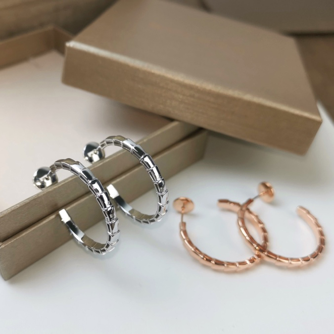 Bv1g*ai earrings